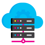 Database and Enterprise Software
